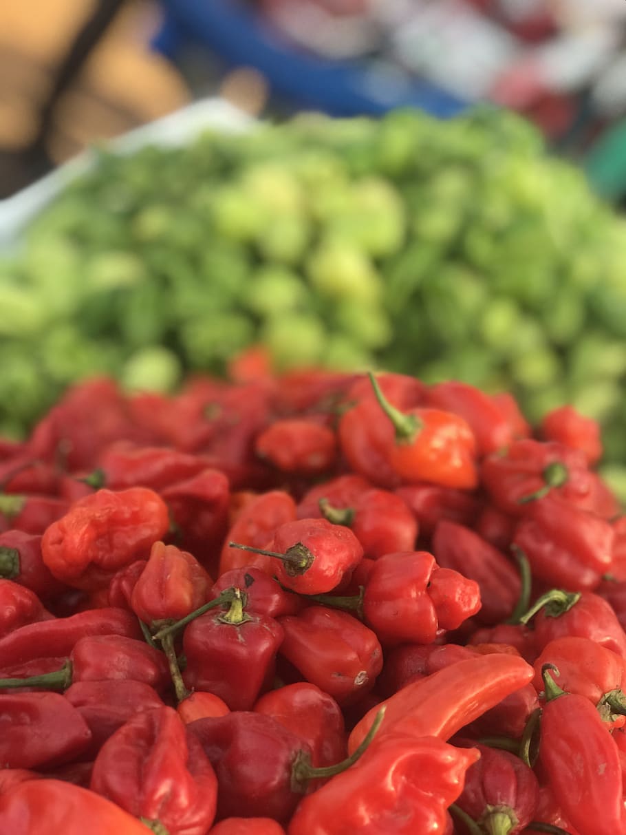 pepper, scotch bonnet, agriculture, market, red, green, vegetable