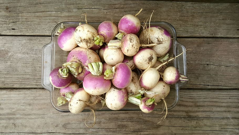 Turnip, Wood, Farm, Rustic, Vegetable, root, food and drink