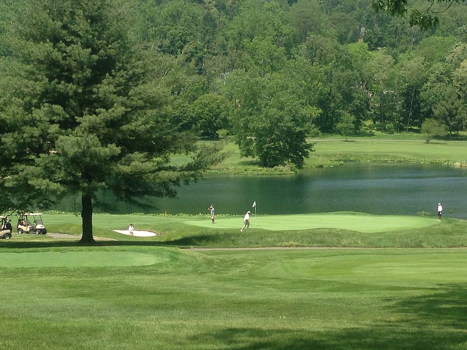 people on golf fields, course, tee, golfing, sport, grass, game HD wallpaper