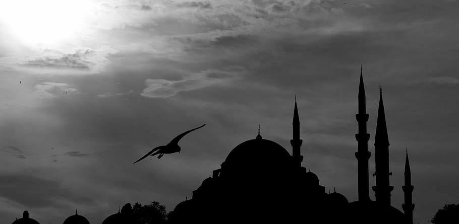 silhouette photo of building, cami, minaret, bird, landscape