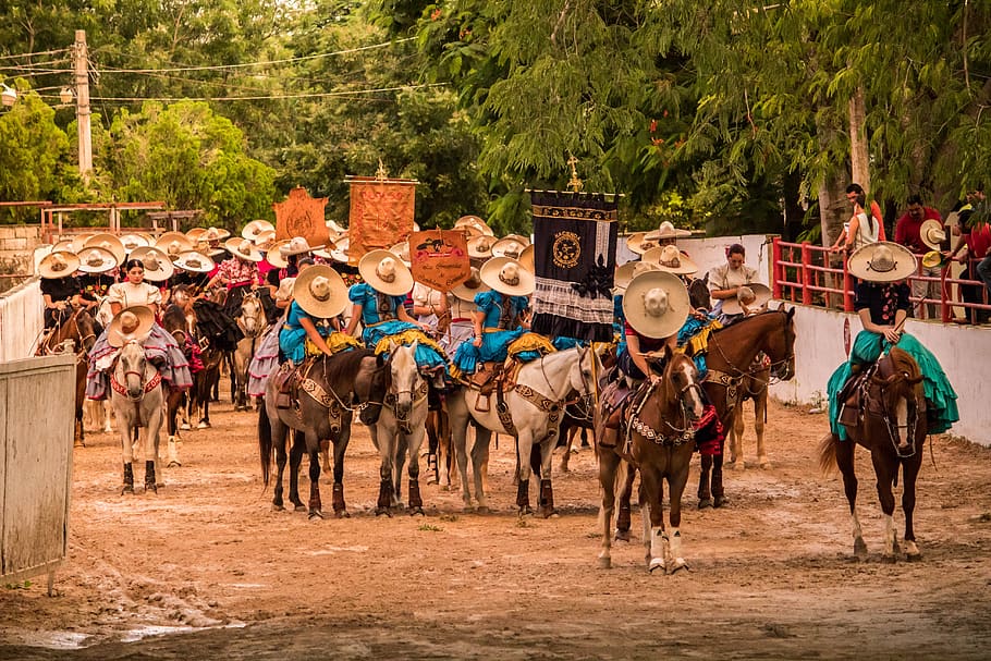 people, cavalry, sitting position, passion, tradition, amazon HD wallpaper