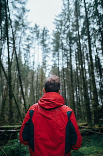 Photography of Man Wearing Black and Red Jacket Standing in Forest HD wallpaper