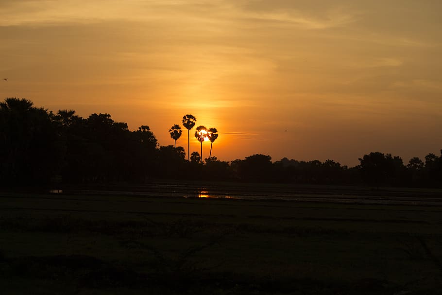 sunset, dawn, evening, dusk, sky, orange color, scenics - nature HD wallpaper