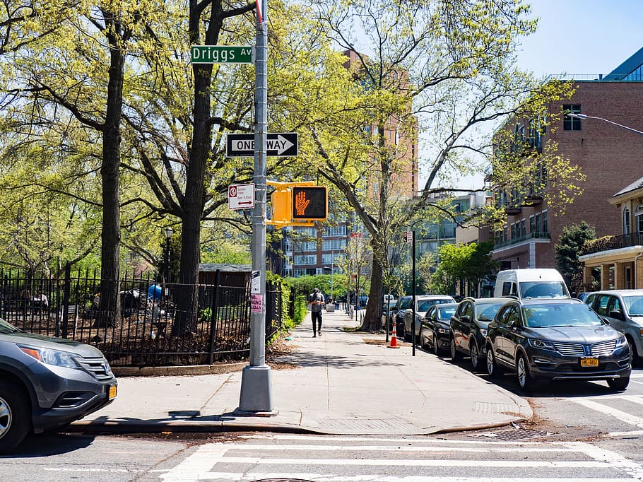 green, trees, plants, park, outdoor, sunny, day, road, street HD wallpaper