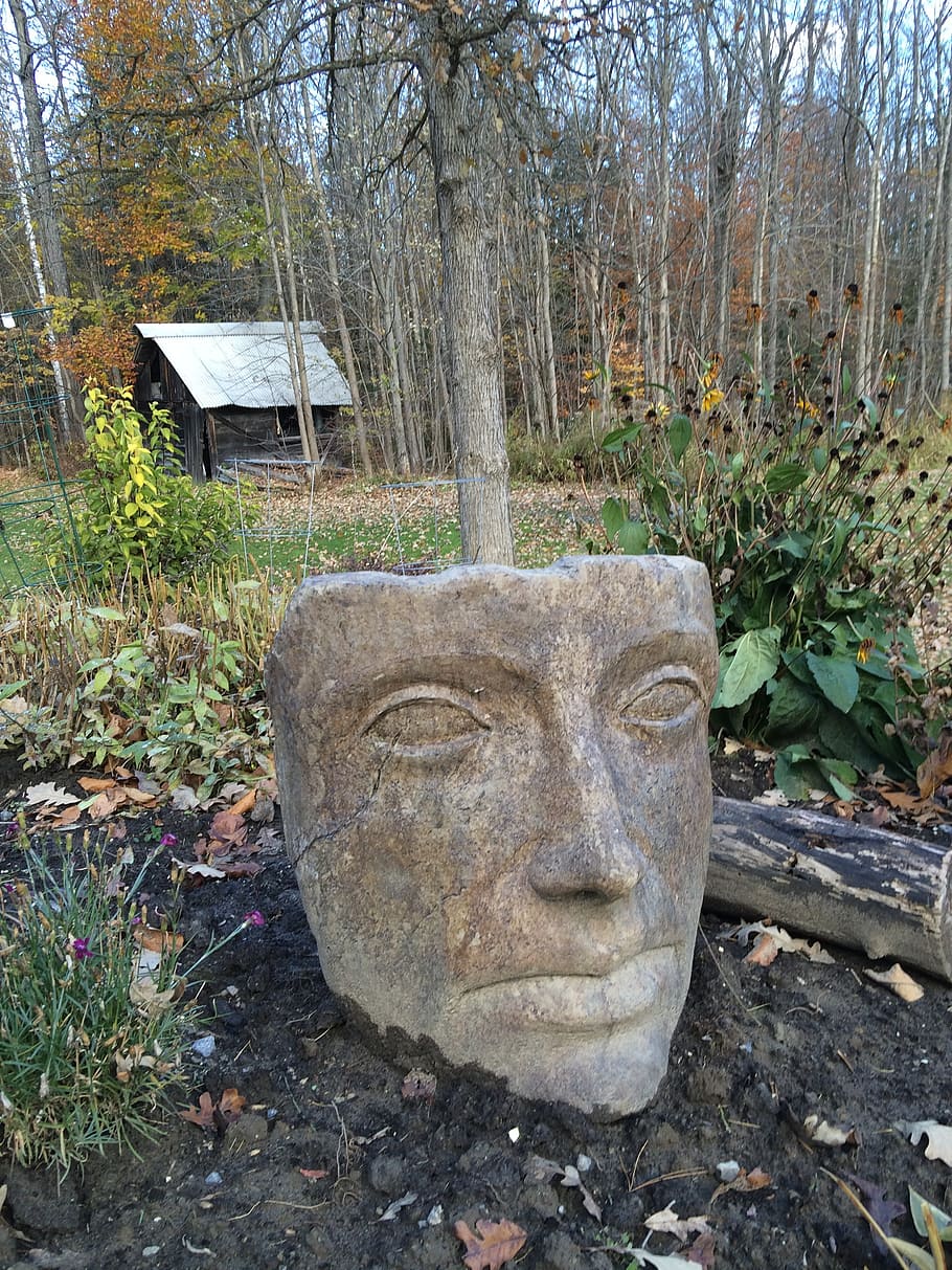 statue, human, garden, stone, face, tree, art and craft, human representation HD wallpaper