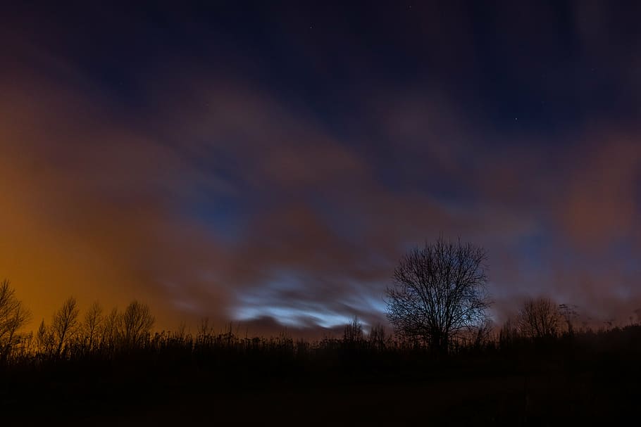 lone, tree, nature, lonely, landscape, sky, natural, season HD wallpaper