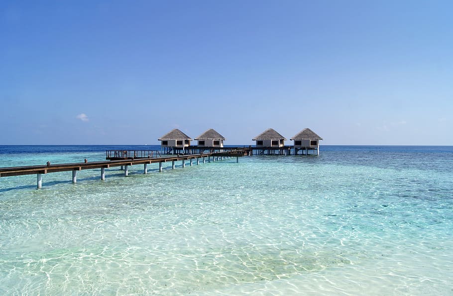 brown houses on body of water, maldives, beach, holiday, sea, HD wallpaper