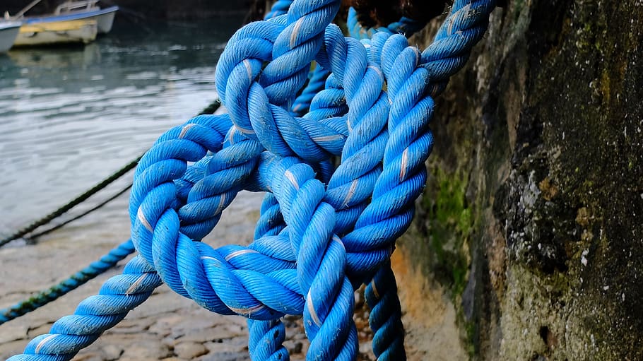 HD wallpaper: blue rope, knot, tight, strength, tied up, close-up, no