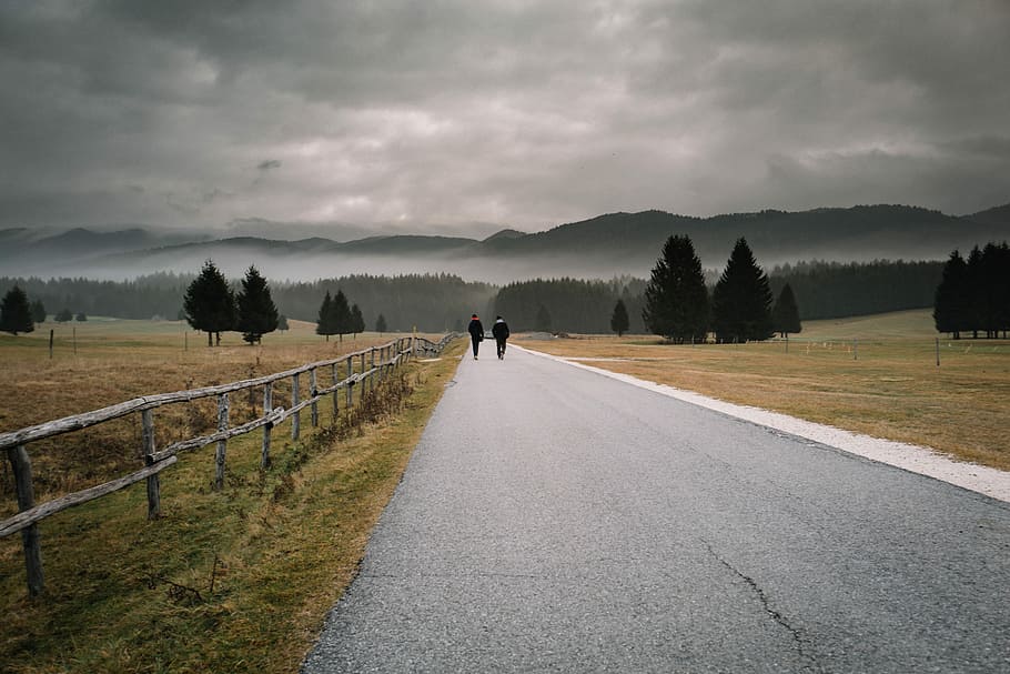 Along the road. Дорога за заборам. Асфальтированная дорога в селе зимой.