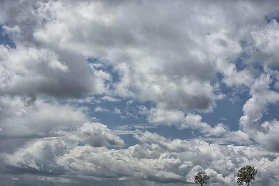 sky, clouds, trees, white cloud, cloudy sky, landscape, cloud - sky HD wallpaper
