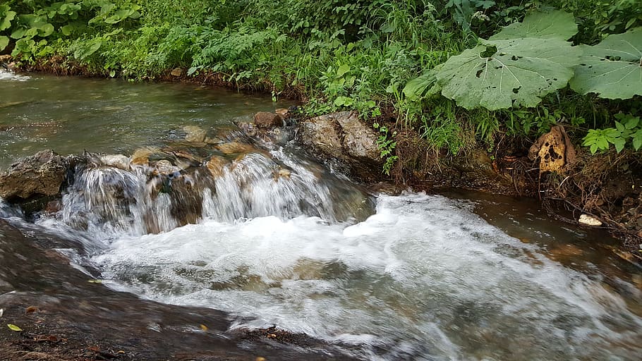 river, stream, water, mountain, waterfall, plant, beauty in nature HD wallpaper