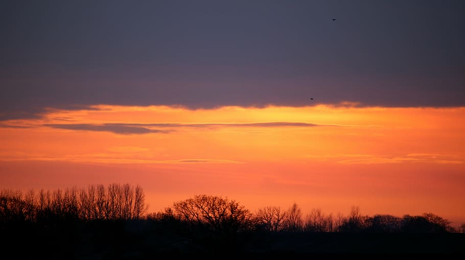 sunset, cloud, sky, himmel, cloud - sky, silhouette, beauty in nature HD wallpaper