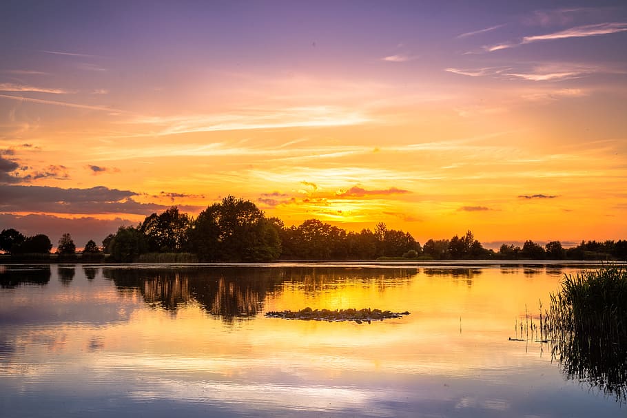 photography of tree near lake during sunset, sky, abendstimmung HD wallpaper