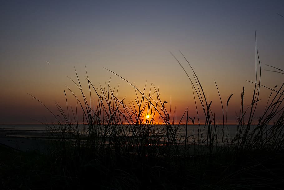 Sun, Sunset, Grass, Sea, summer, tranquil scene, nature, no people HD wallpaper
