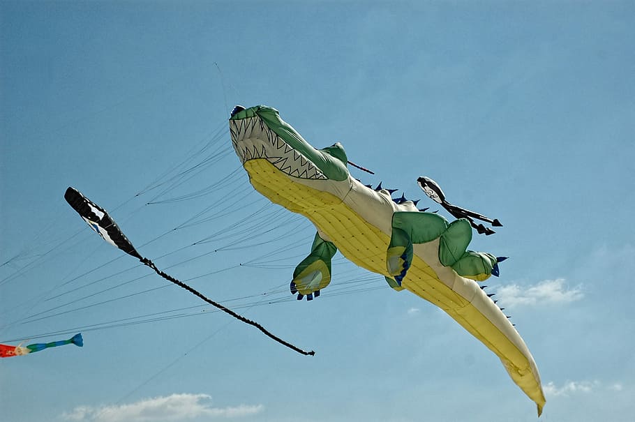 white, yellow, and green crocodile kite, Beach, Berck, Plage HD wallpaper