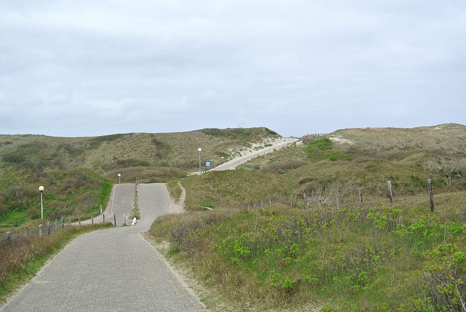 texel, dunes, away, landscape, holiday, sea, north sea, road HD wallpaper