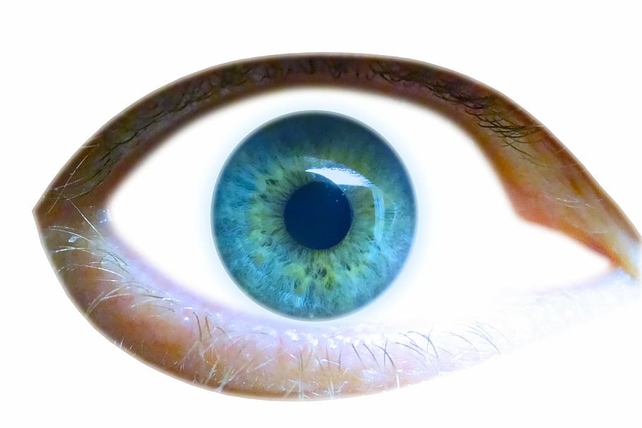 eye, iris, eyelid, view, look, see, pupil, eyesight, human eye, HD wallpaper