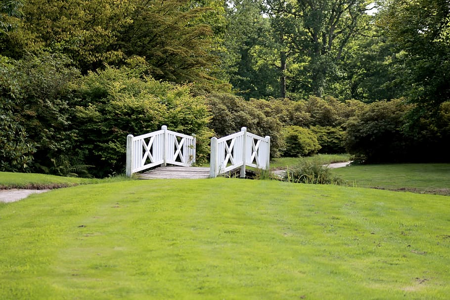 meadow, bridge, nature, landscape, forest, trees, park, scenic HD wallpaper