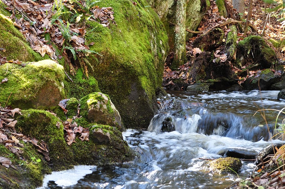 Waterfall, Forest, brook, rock - object, no people, nature HD wallpaper