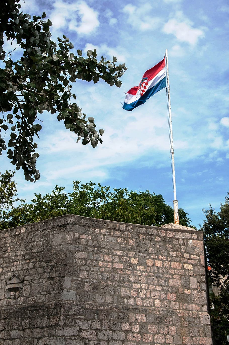 flag, croatia, istria, august, borgo, patriotism, tree, sky, HD wallpaper