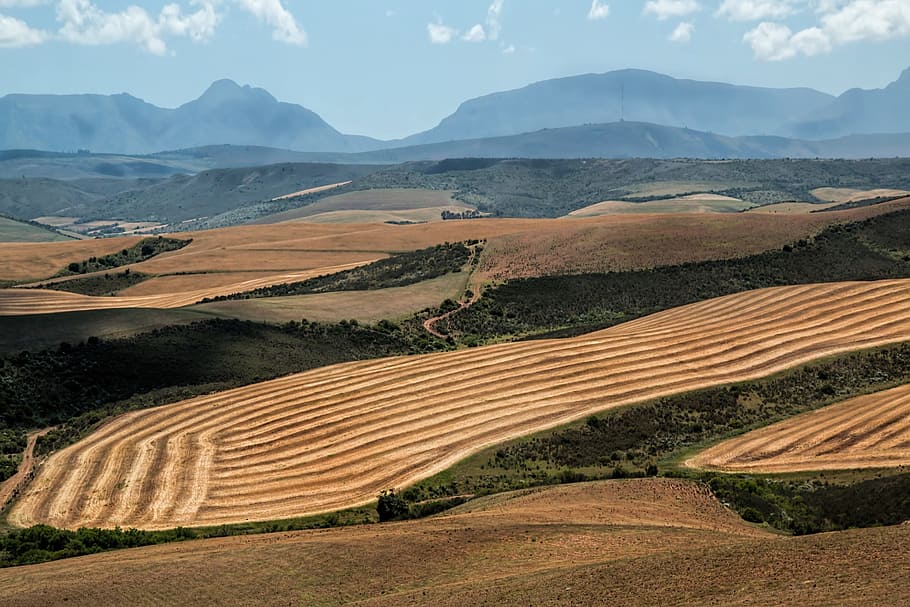 landscape of field, wheat fields, harvest, ploughed, mountains HD wallpaper