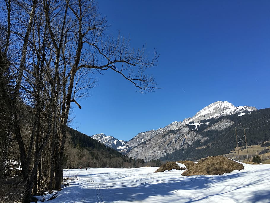 mountain, sky, blue, landscape, high mountain, snow, fir, alps HD wallpaper