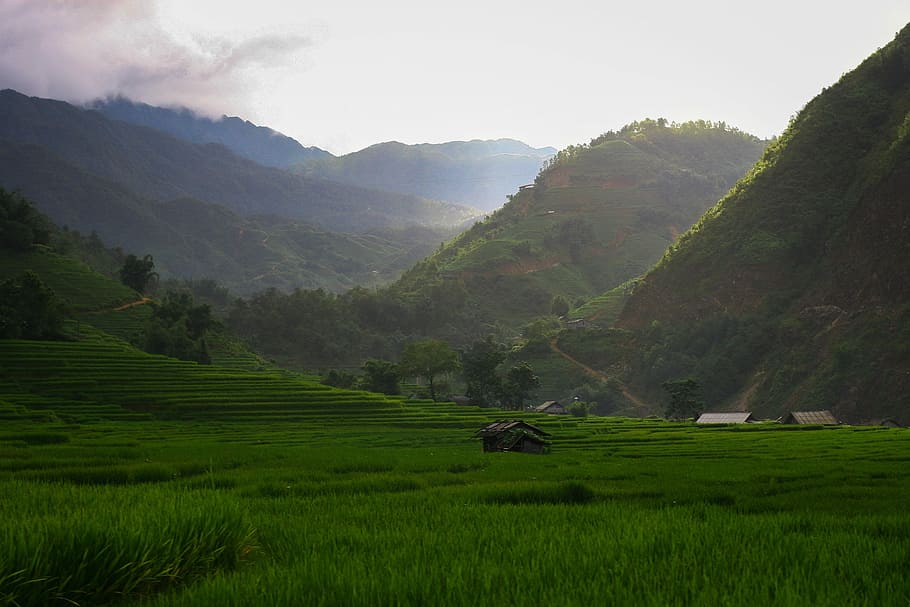 mountain, panoramic, nature, landscape, hill, sapa, vietnam HD wallpaper