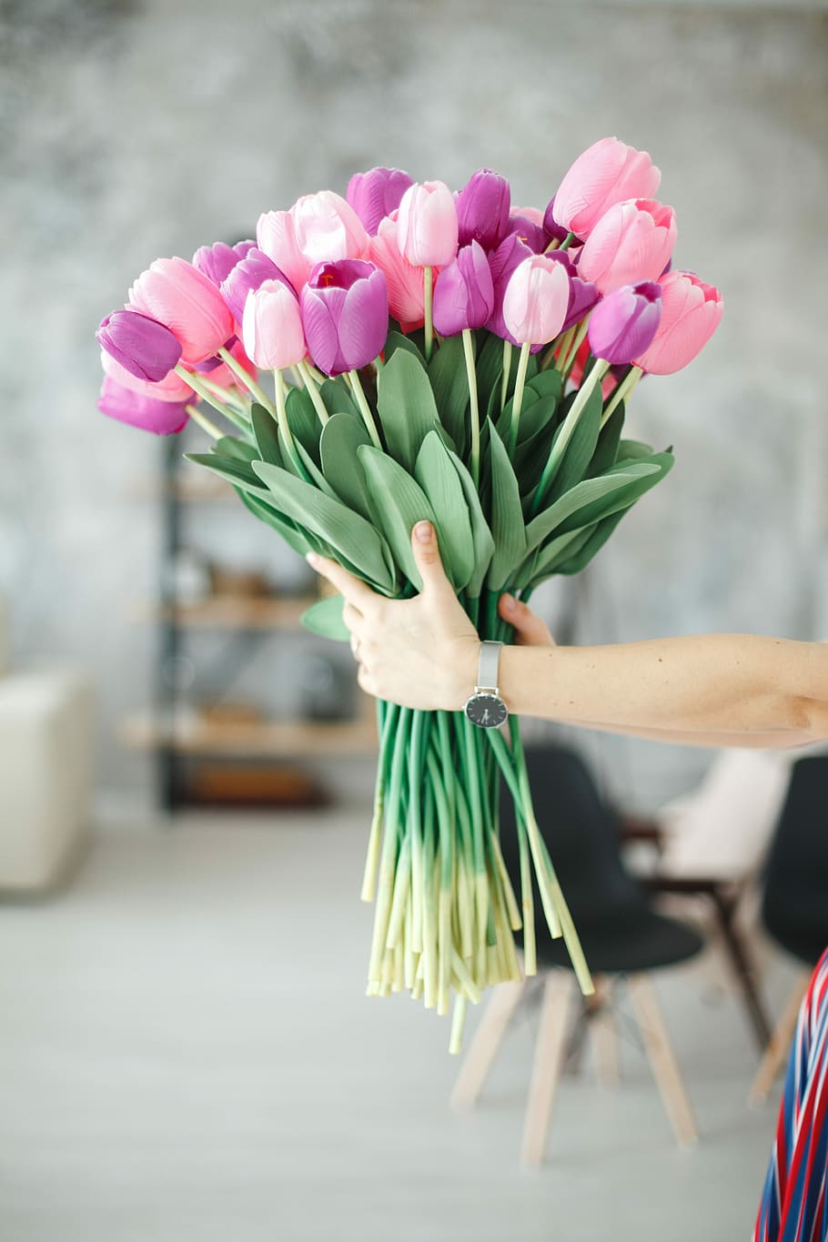 person holding bouquet of purple and pink tulips, flower, nature HD wallpaper
