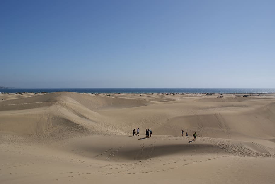 desert, sand, dune, beach, sea, land, scenics - nature, water HD wallpaper