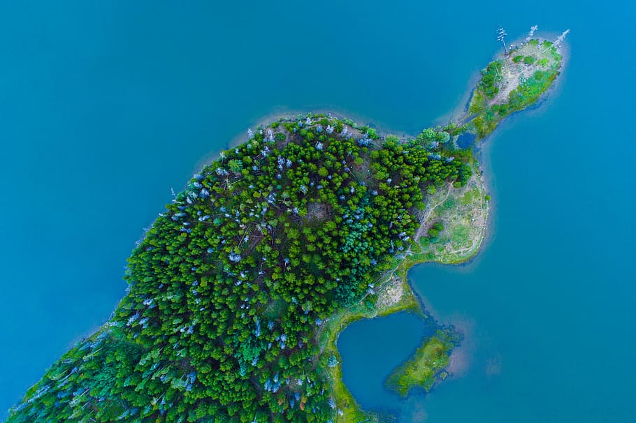 aerial photography of green trees on island, aerial photography of island HD wallpaper
