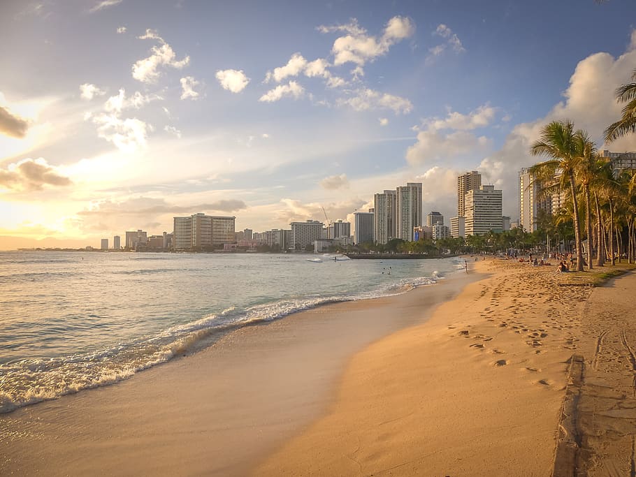 sea, city, nature, sky, beach, buildings, clouds, coconut trees HD wallpaper