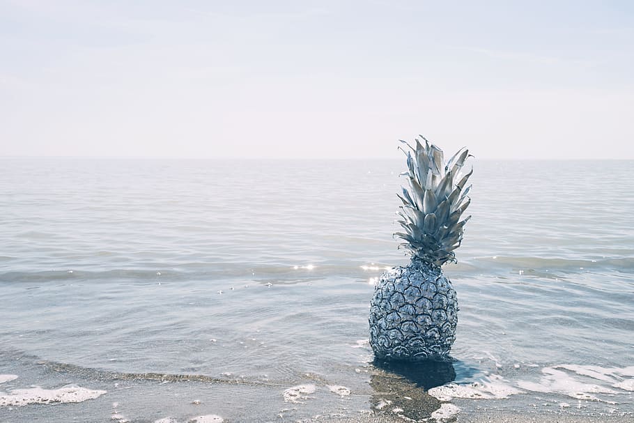 pineapple, dessert, appetizer, fruit, juice, crop, beach, ocean HD wallpaper
