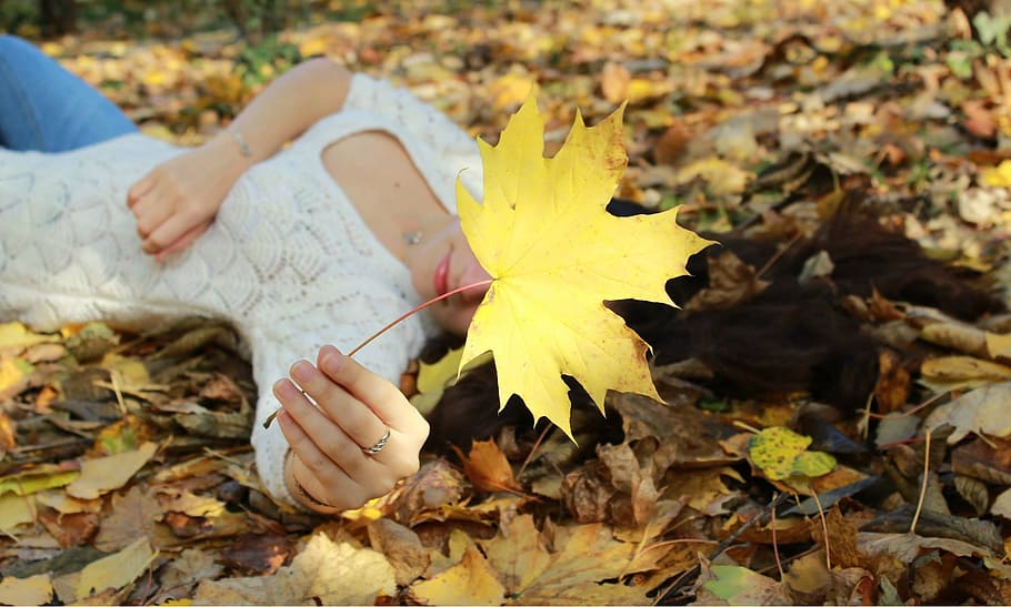 maple, fall, leaf, girl, yellow, autumn, leaves, season, plant part HD wallpaper
