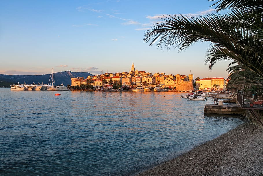 medieval, town, croatia, korcula, sunset, palms, trees, beach, HD wallpaper