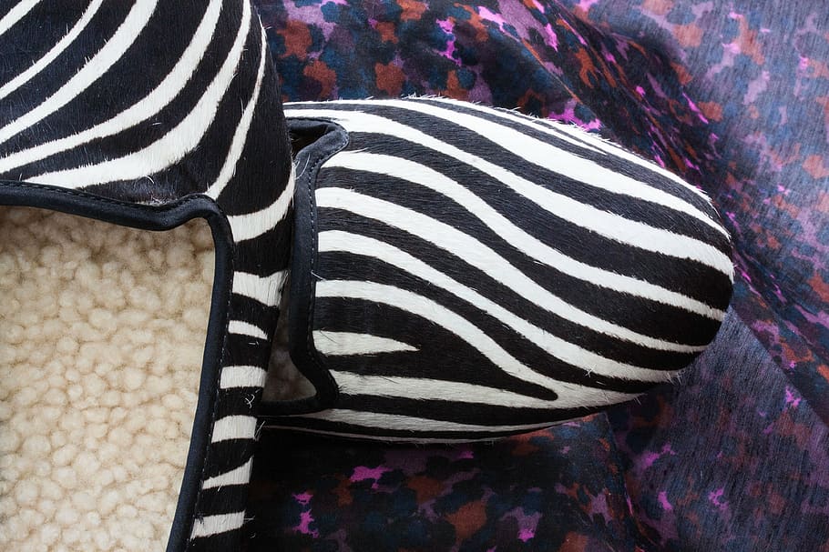 shoes, slipper, zebra pattern, fur, lambskin, leather, colored HD wallpaper