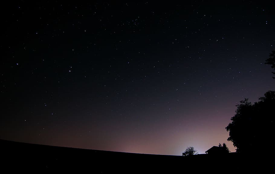 star during nighttime photo, forest, night sky, light pollution HD wallpaper