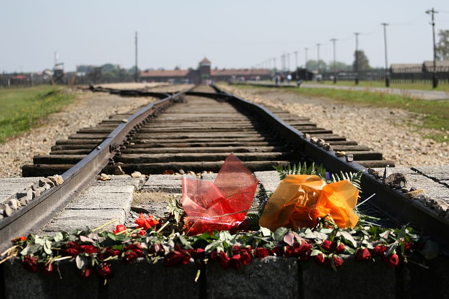 red petaled flowers bouquet on brown train rail at daytime, auschwitz birkenau