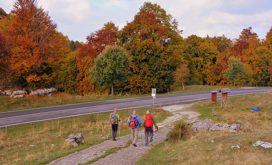excursion, trail, walking with sticks, mountain, the european path HD wallpaper