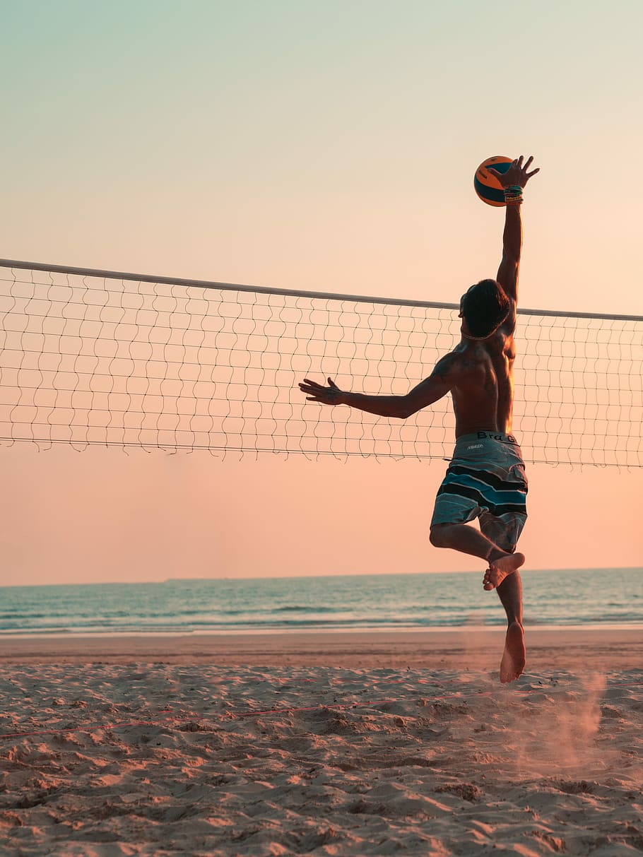 Volleyball Photos Download The BEST Free Volleyball Stock Photos  HD  Images