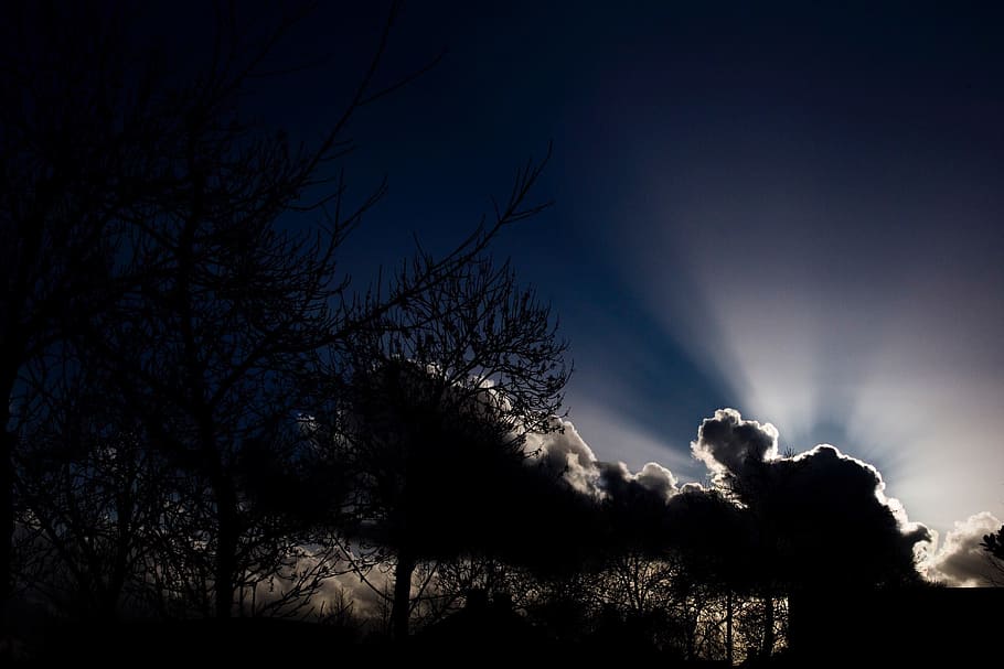 clouds, sun, air, nature, sunset, tree, sky, silhouette, plant HD wallpaper
