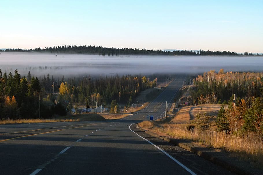 landscape photo of raod, Fog Bank, Bank, Road, Highway, early morning fog, HD wallpaper