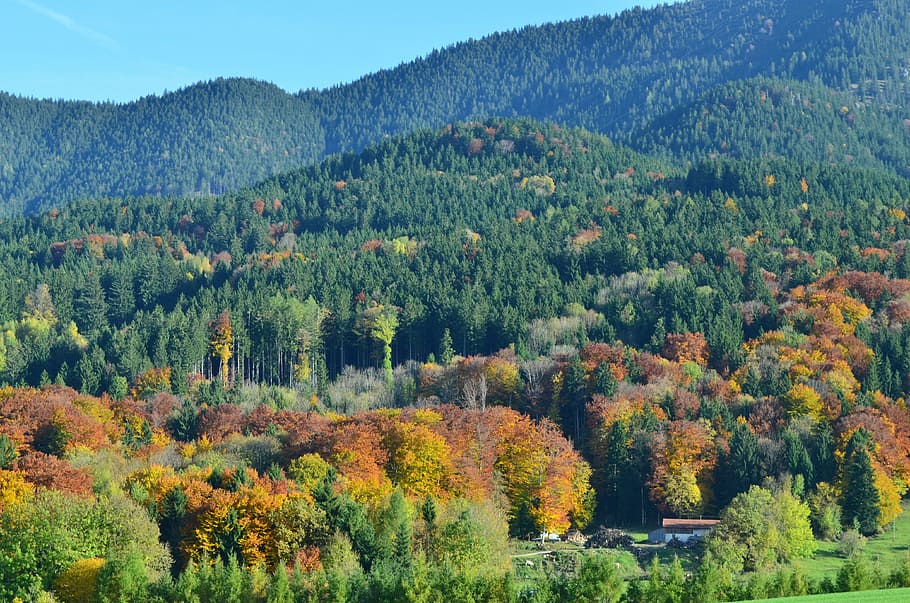 mountains, autumn, landscape, tree, plant, beauty in nature HD wallpaper