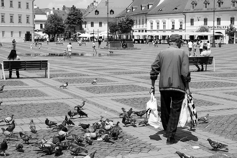 sibiu, center, elder, pigeons, real people, city, architecture HD wallpaper