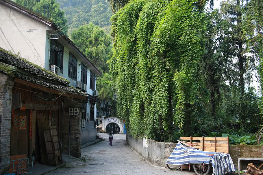 street, xingping, the ancient town, architecture, cultures, HD wallpaper
