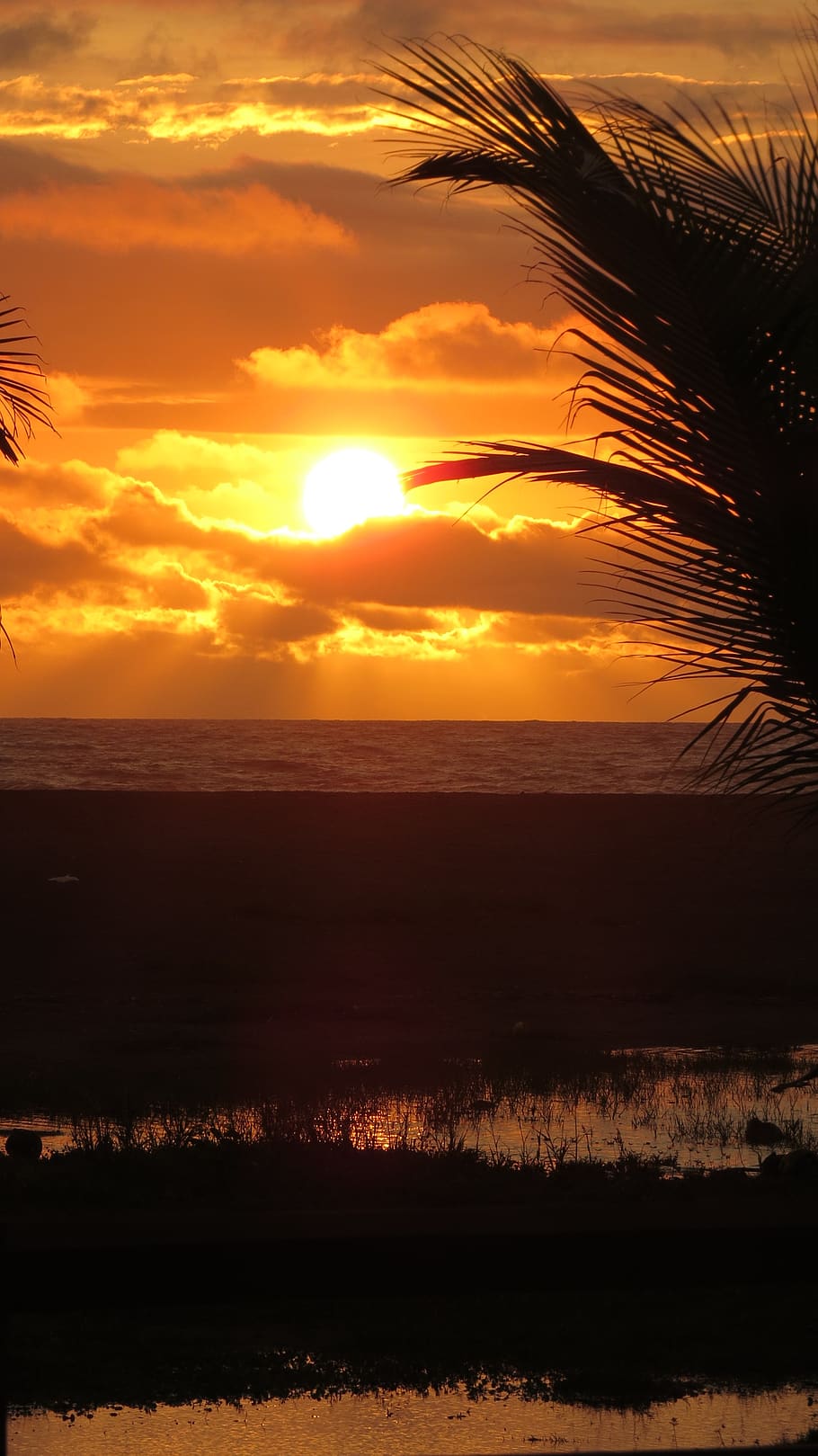 sun, sunset, nature, light, landscape, sky, summer, horizon HD wallpaper