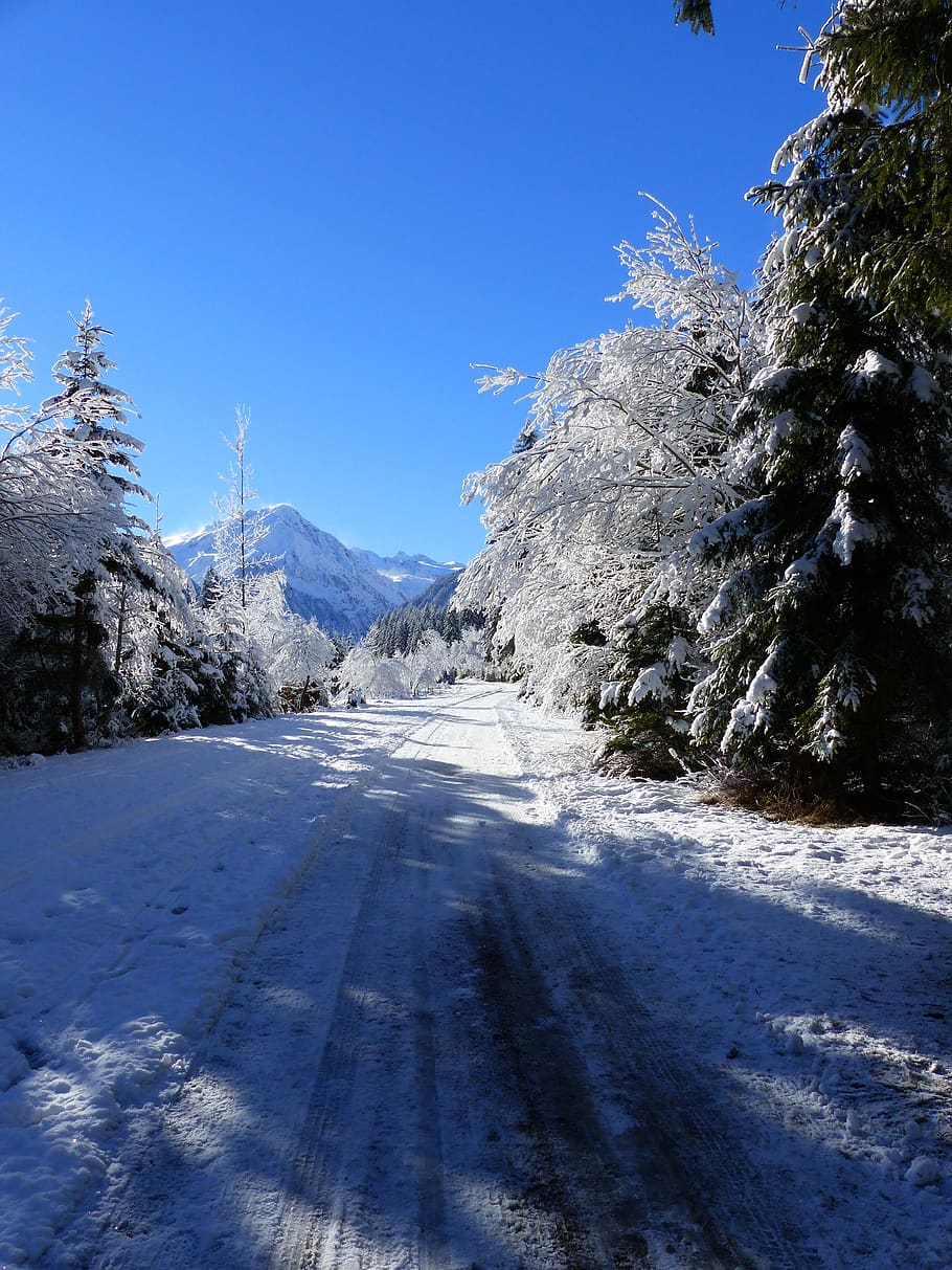 winter, landscape, snow, wintry, idyllic, cold temperature HD wallpaper