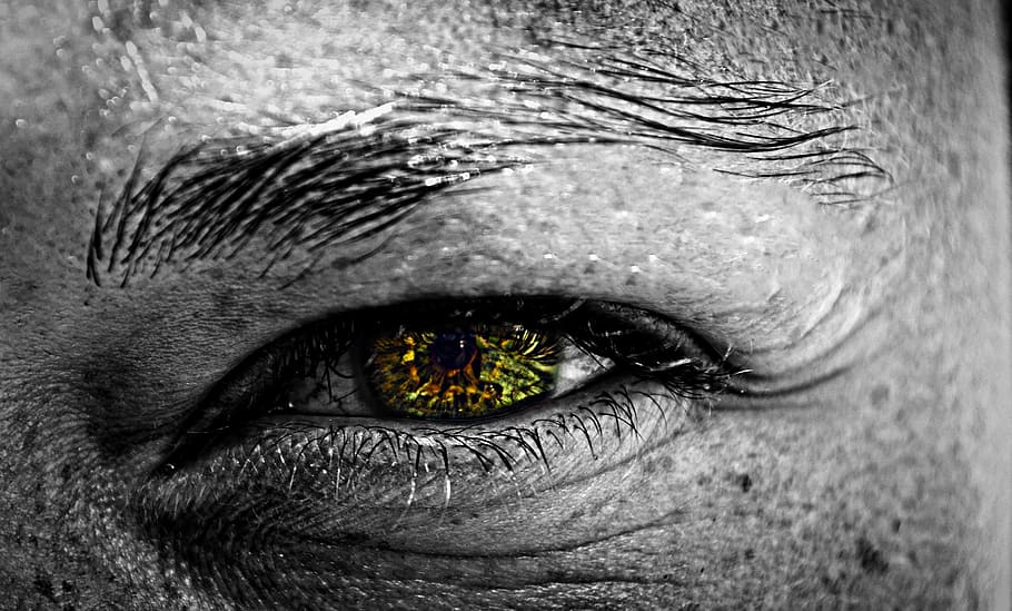 person's eye, head, macro, colors, close-up, sensory perception HD wallpaper
