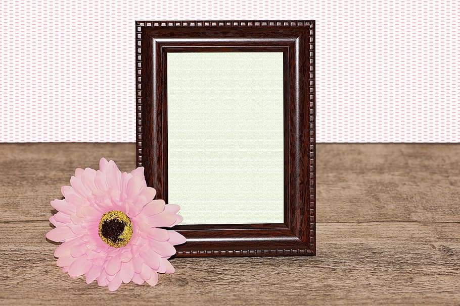 Picture Frame, Photo Frame, image without, without photo, flower, HD wallpaper