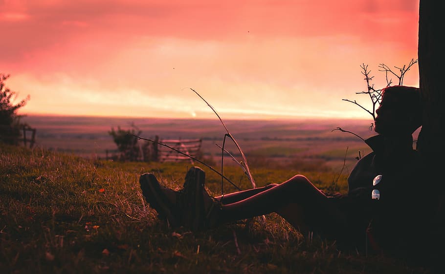 person sitting on grass during orange sunset, silhouette, field HD wallpaper