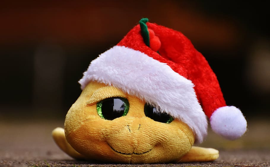 yellow animal plush toy wearing Santa hat, christmas, turtle